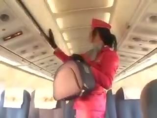 Charmig stewardessen sugande penisen före cunnilingus
