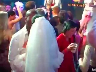 Magnificent oversexed brides chupar grande gallos en público